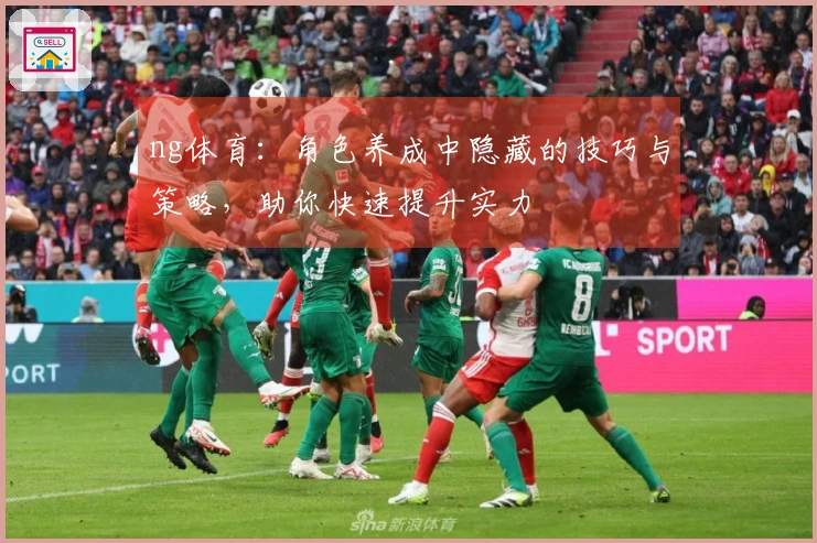 ng体育：角色养成中隐藏的技巧与策略，助你快速提升实力