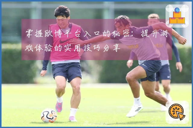 掌握欧博平台入口的秘密：提升游戏体验的实用技巧分享